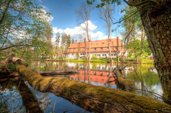 Kompleks Wypoczynkowo-Konferencyjny Mazur-Syrenka Krutyń Exteriör bild